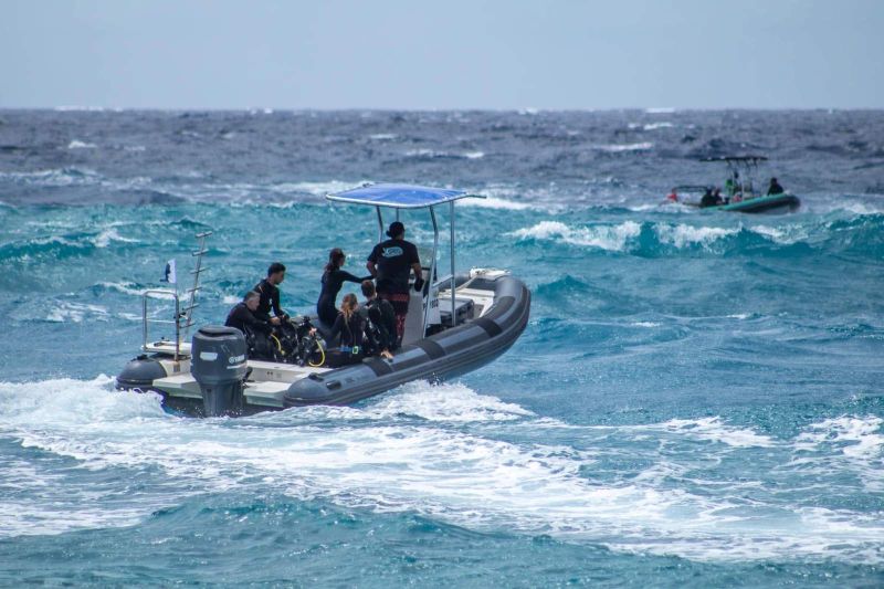 The boat in the waves of the pass